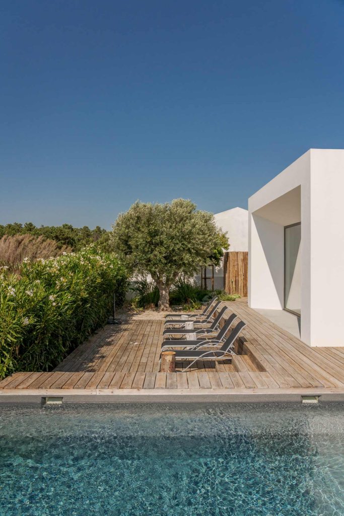 vvstudio-constructora-valencia-casa-moderna-jardin-exterior